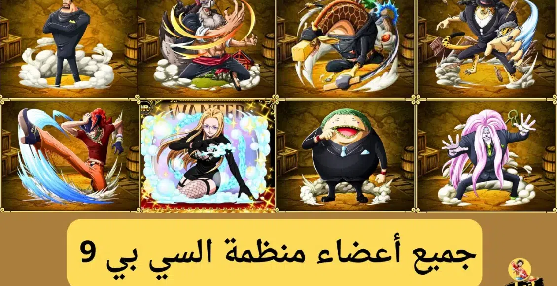 منظمة السي بي 9