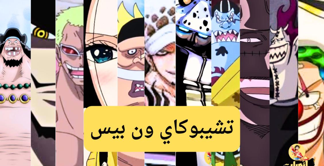 تشيبوكاي ون بيس