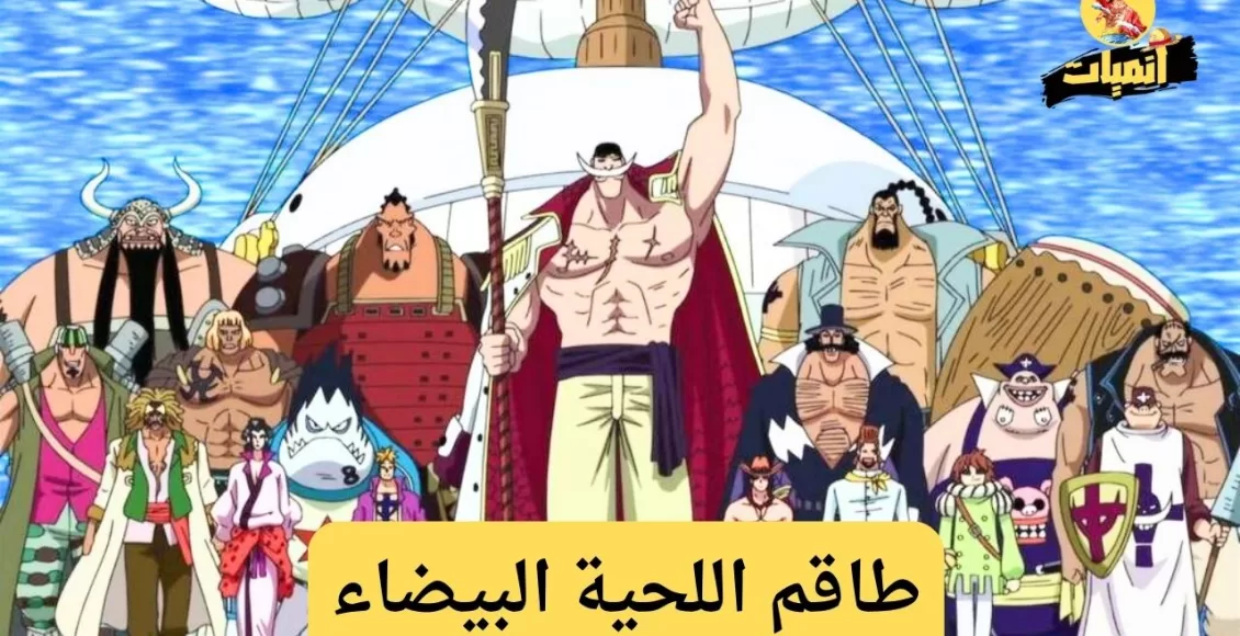 طاقم اللحية البيضاء
